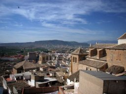 Mula Antigua serie-2